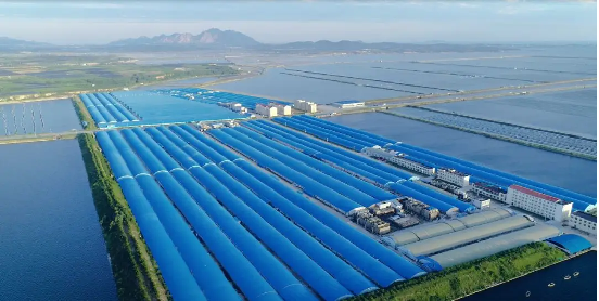 2025新奥门原料免费2025